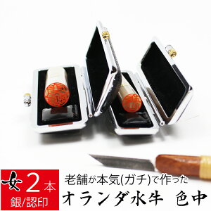yGg[Ń|Cg10{z ͂ I_ F p 2{Zbg P[X s  F 10.5mm 13.5mm 10Nۏ