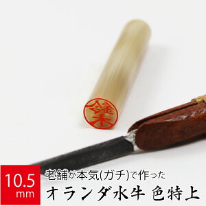 yGg[Ń|Cg10{z ͂ s I_ F P[X  F l nR d E 10.5mm×60mm 10Nۏ