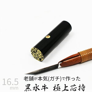 yGg[Ń|Cg10{z ͂ s  c P[X ʃS[h  F l nR d E 16.5mm 10Nۏ