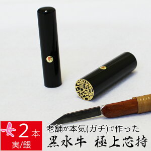 yGg[Ń|Cg10{z ͂ s  2{Zbg P[X ʃS[h  F l nR d E 13.5mm 16.5mm 10Nۏ