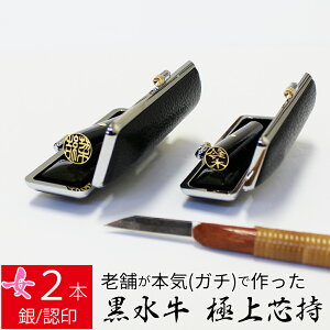 yGg[Ń|Cg10{z ͂ s  2{Zbg P[X ʃS[h  F l nR d E 10.5mm 13.5mm 10Nۏ