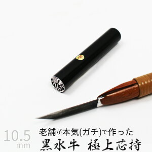 yGg[Ń|Cg10{z ͂ s  c P[X ʃVo[  F l nR d E 10.5mm 10Nۏ