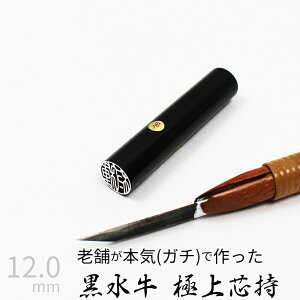 yGg[Ń|Cg10{z ͂ s  c P[X ʃVo[  F l nR d E 12mm 10Nۏ