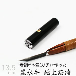 yGg[Ń|Cg10{z ͂ s  c P[X ʃVo[  F l nR d E 13.5mm 10Nۏ