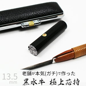 yGg[Ń|Cg10{z ͂ s  P[X ʃVo[  F l nR d E 13.5mm 10Nۏ