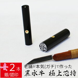 yGg[Ń|Cg10{z ͂ s  2{Zbg P[X ʃVo[  F l nR d E 10.5mm 13.5mm 10Nۏ