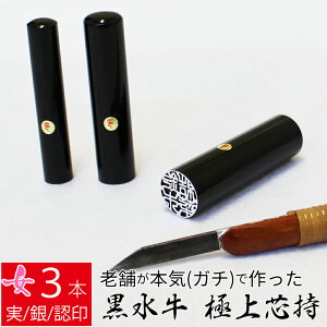 yGg[Ń|Cg10{z ͂ s  3{Zbg P[X ʃVo[  F l nR d E 10.5mm 13.5mm 16.5mm 10Nۏ