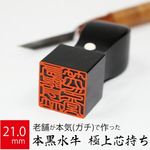 yGg[Ń|Cg10{zЎ \҈   @l s p ͂  21.0mm Vp I[_[ Ж