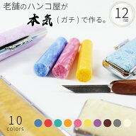 印鑑 はんこ 銀行印 蝶貝 パール ニューオーストケースセット 認印 ハンコ 赤ちゃん 女性 かわいい おし…