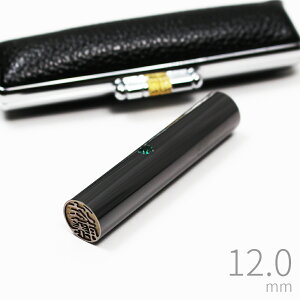 yGg[Ń|Cg10{z ͂ v~A `^  ubN ~P[Xt q  s F 12.0mm CXg[