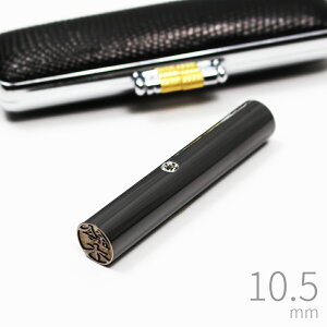yGg[Ń|Cg10{z ͂ v~A `^  ubN gJQvP[Xt q  s F 10.5mm CXg[