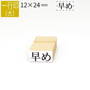 yGg[Ń|Cg10{zs ̂ה 12mm×24mm S ͂ q X^v S I[_[ O Ȃ܂ I[_[Ch