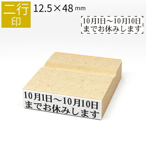 yGg[Ń|Cg10{zs ̂ה 12.5mm×48mm S ͂ q X^v S I[_[ O Ȃ܂ I[_[Ch