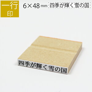 yGg[Ń|Cg10{zs ̂ה 6mm×48mm S ͂ q X^v S I[_[ O Ȃ܂