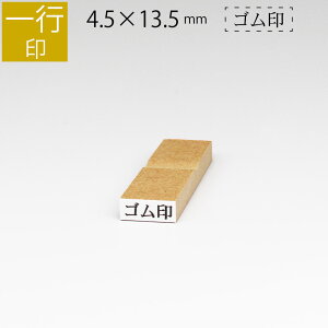 yGg[Ń|Cg10{zs ̂ה 4.5mm×13.5mm S ͂ q X^v S I[_[ O Ȃ܂