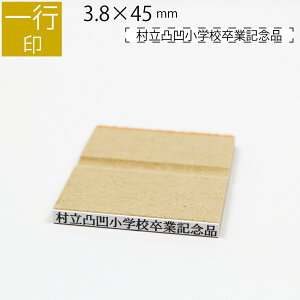yGg[Ń|Cg10{zs ̂ה 3.8mm×45mm S ͂ q X^v S I[_[ O Ȃ܂