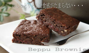 tXY `R[g gp̂ƂluEj[5Zbg uEj[ P[L َq 񂹃XC[c j  َq Ygp }\ NX}X 