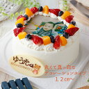 写真ケーキ 5号サイズ(15cm,5〜6人分）メッセージ付き　白かチョコか選択可　フルーツ　バースデー　誕生日　デコレーション　・・・