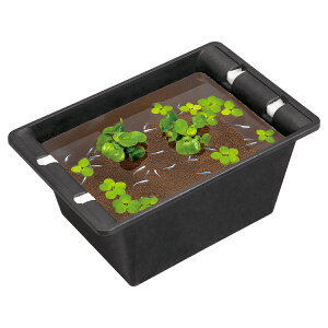 y󂠂EiEz ߂ O   e rIg[v Xh[ ؂߂  킷 S-6732