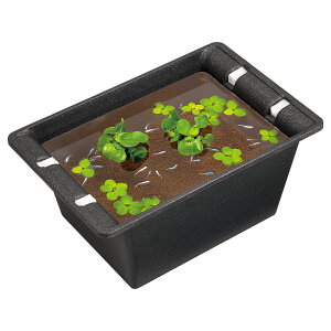 y󂠂EiEz߂ O   e rIg[v Xh[ ؂߂   S-6736