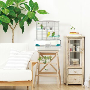 y݌Ɉ|Z[z Xh[  o[h~jA S01 a юU h~  ZLZCCR   o[hP[W ^ P-2800