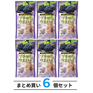 6Zbg nX^[  ETM  Xh[ v`EGn[ Ԃǂ 45 uhE  O[v EGn[X ܂Ƃߔ p P-828