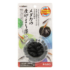 y󂠂EiEz Xh[ Y _J̎Y܂葔  zeC ߂ _J Y  S-5807