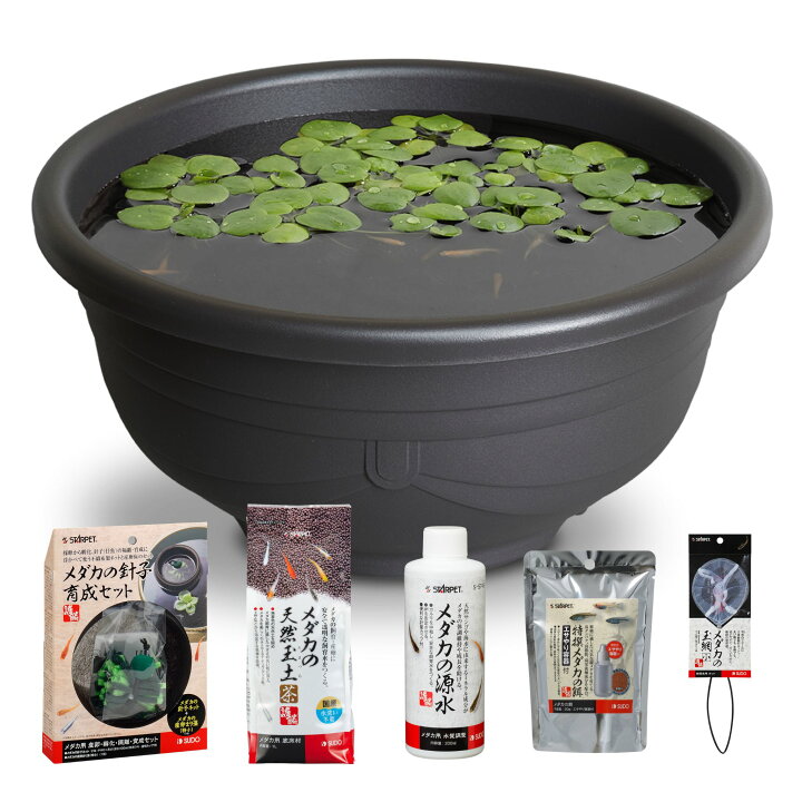 楽天市場】【6L・約5匹サイズ】 スドー メダカ 飼育セット 屋外 6点 