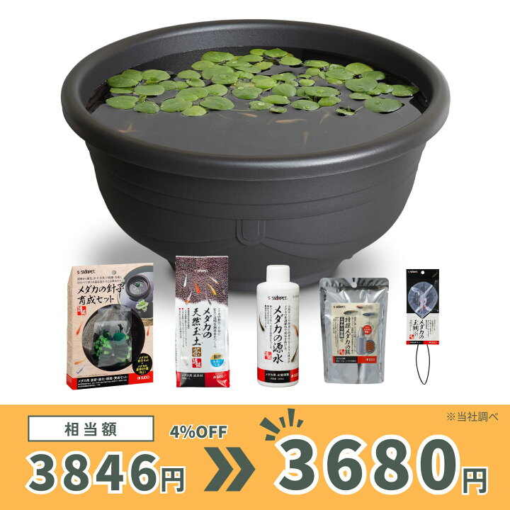 楽天市場】【6L・約5匹サイズ】 スドー メダカ 飼育セット 屋外 6点 
