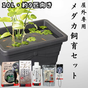 【10L・約9匹サイズ】 スドー メダカ 飼育セット 屋外 6点 必要な用品が全て揃う 10リットル 鉢 容器 ビオトープ 40×28×20cm 水槽 砂 砂利 カルキ抜き 餌 稚魚 網