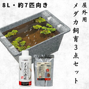 y8LE7CTCYz Xh[ SҌ _J Zbg O 3_ 8bg   rIg[v JL a t