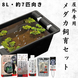 y8LE7CTCYz Xh[ _J Zbg O 6_ KvȗpiSđ 8bg  e  rIg[v   JL a t 