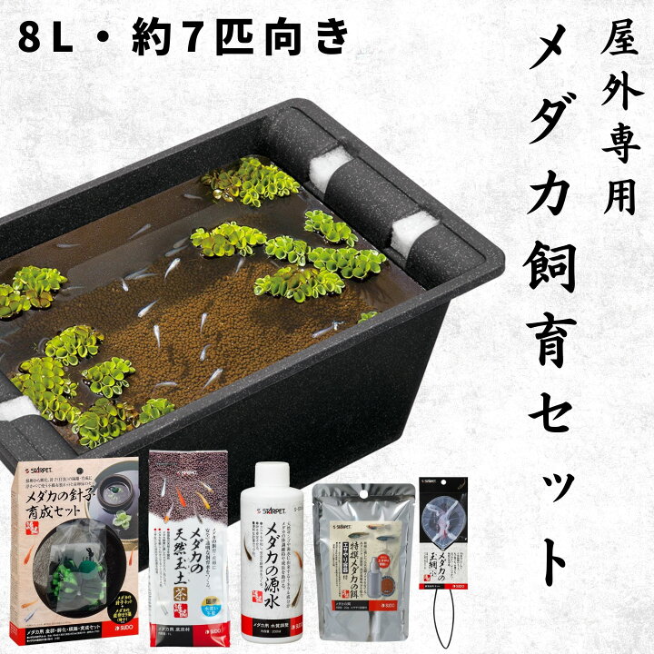 楽天市場】【8L・約7匹サイズ】 スドー メダカ 飼育セット 屋外 6点 