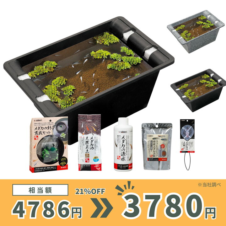 楽天市場】【8L・約7匹サイズ】 スドー メダカ 飼育セット 屋外 6点 