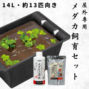 y14LE13CTCYz Xh[ SҌ _J Zbg O 3_ 14bg   rIg[v JL a t