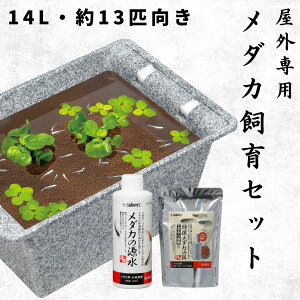 【14L・約13匹サイズ】 スドー 初心者向け メダカ 飼育セット 屋外 3点 14リットル 鉢 水槽 ビオトープ カルキ抜き 餌 稚魚