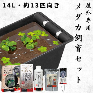 y14LE13CTCYz Xh[ _J Zbg O 6_ KvȗpiSđ 14bg  e  rIg[v   JL a t 