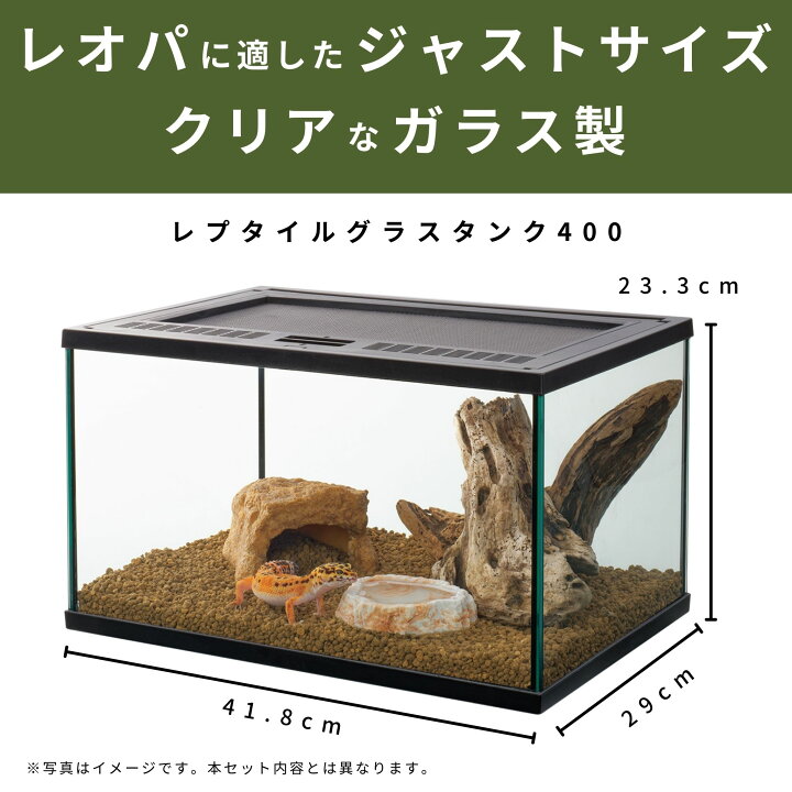 楽天市場】スドー レオパ はじめて お迎え 飼育 セット キット 
