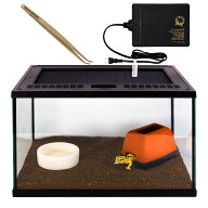 スドー レオパ はじめて お迎え 飼育 セット キット スターターセット 爬虫類 レオパードゲッコー ヒョウ…