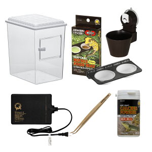 Xh[ NX } Zbg veBMAEnC300 S ঒ NXebhQbR[ ybg P[X X^[^[Zbg