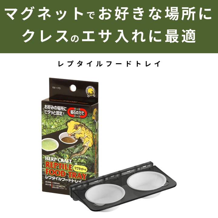 楽天市場】スドー クレス お迎え 飼育セット レプティギア・ハイ300 