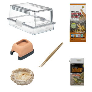 Xh[ Ip } Zbg veBMA300 S ঒ Ip[hQbR[ ybg P[X X^[^[Zbg