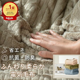 電気毛布 掛け敷き 洗える ふわもこ毛布 電気ひざ掛け 188*130 12Hタイマー 9段階温度 抗菌防臭 自動電源オフ 電気ブランケット ダブル 省エネ 電気掛け毛布 車中泊 キャンプ プレゼント エペイオス(Epeios)