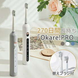 【予約販売★4月上旬入荷予定】Epeios 電動歯ブラシ Okare! PRO 音波歯ブラシ ソニック 歯ブラシ 替えブラシ 2本 歯間 歯ぐき 汚れ 歯垢 除去 高速振動 IPX7防水 静音 Type-C充電 4時間急速充電 270日間使用 音波式 メモリー機能 2分間オートタイマー ET005