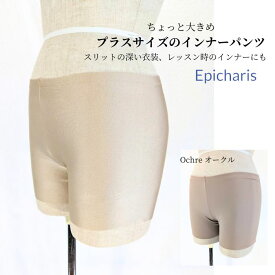 【8/7ナチュラル入荷】【プラスサイズ】大きめ 2517インナーパンツ ベリーダンスベリーダンスヒップスカーフ ベリーダンスヒップスカート ベリーダンス衣装 ベリーダンスヒップカバー