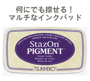 X^v XeCYI sOg cLlR 痿nCN StazOn PIGMENT Grape Candy O[vLfB SZ-PIG-011 N NX}XJ[h  eqH nhCh R Lbg