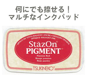 X^v XeCYI sOg cLlR 痿nCN StazOn PIGMENT Passion Red pbVbh SZ-PIG-021 N NX}XJ[h  eqH nhCh R Lbg