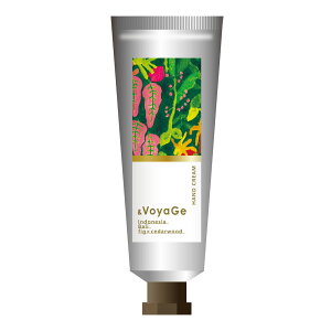 ymifullz&VoyaGe nhN[@ChlVAEo΂̊y̌b݁@×V_[Ebh̍@ێ@nhPA@Mtg