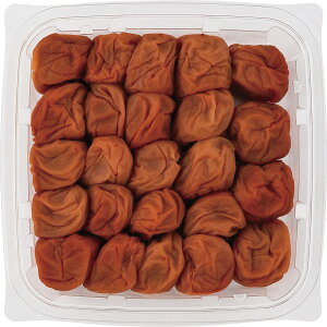 TԂ Hi JAa̎R_A IB썂~ V~400g 2162518 ~ oYj j wj @  @v  A Âё  u @v ~  Mtg 