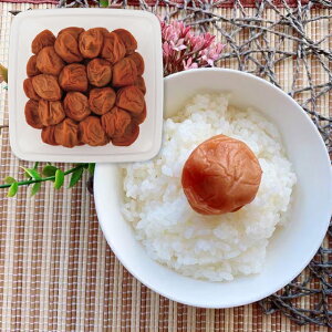 TԂ HiuvJAa̎R_A IB썂~ V(700g) 2162509 ~ oYj j wj @  @v  A Âё  u @v ~  Mtg 